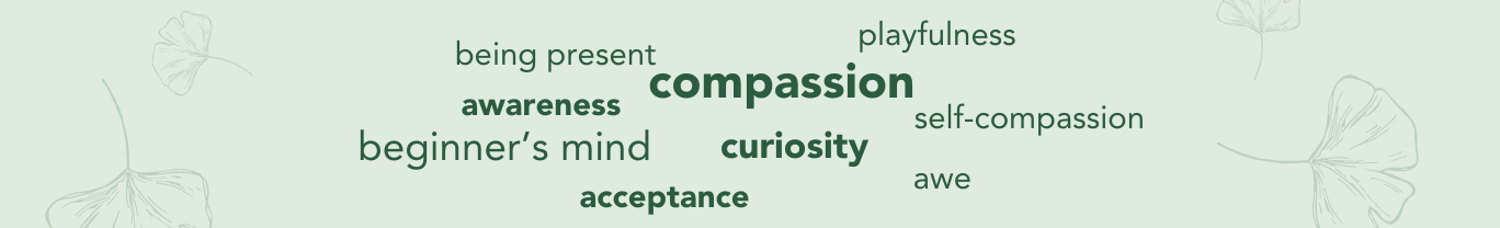 being present, awareness, compassion, self-compassion, curiosity, acceptance, awe, beginner’s mind, playfulness