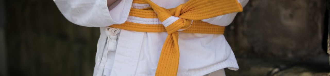 karate belt